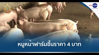 หมูหน้าฟาร์มขึ้นราคา 4 บาท เหตุอากาศร้อน-หมูโตช้า