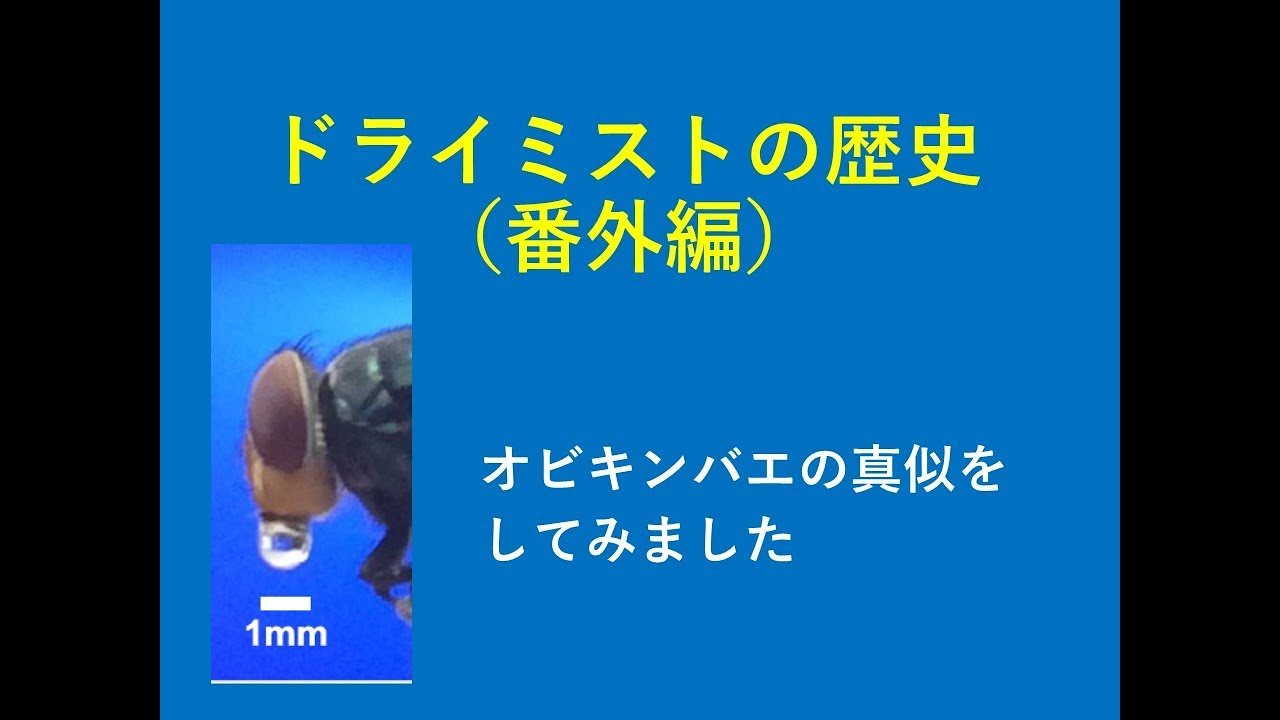 ドライミストの歴史（番外編）