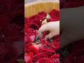 Ancient Rose Distillation – Crafting Pure Floral Water with Timeless Heritage Art