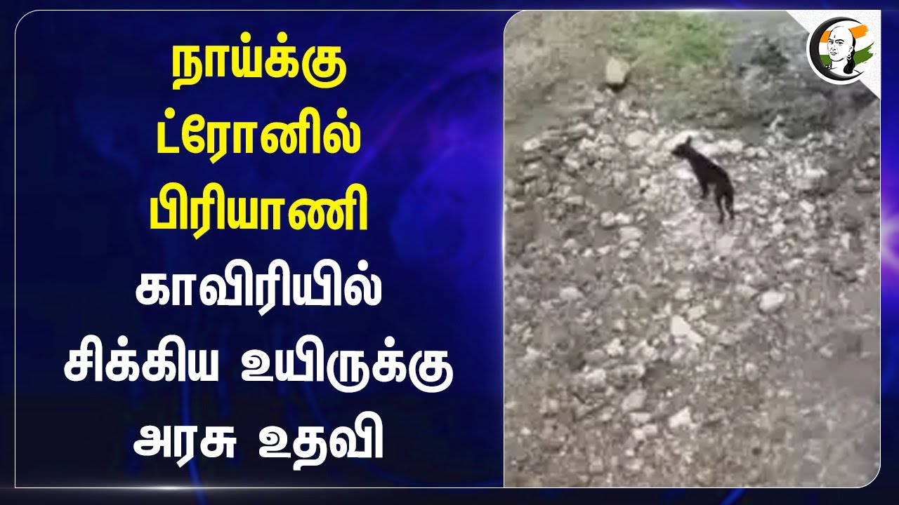 Dogக்கு ட்ரோனில் Biriyani.. Cauveryயில் சிக்கிய உயிருக்கு TN Govt உதவி | Delivered by Drone | Mettur