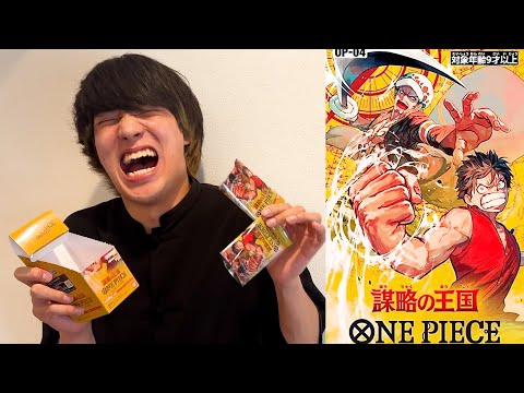 ゆーとの大切なワンピースカード隠してみた【ドッキリ】