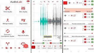 AudioLab (-by HitroLab) - free audio editor, recorder and ringtone maker for Android. screenshot 4