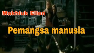 review film mantap mantap indonesia