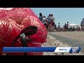 Onion Frenzy Moments From 49th Annual Vidalia Onion Festival 