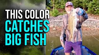 This Secret Worm Color Catches Big Fish