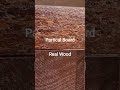How to tell the difference between particle board and real wood furniture a visual guide