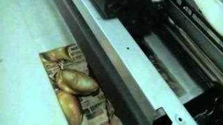 Anodized Aluminum printing with BR 1900 faltbed priner