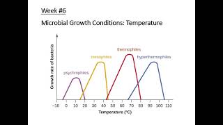 Week 6 Microbial Growth Conditions   Temperature