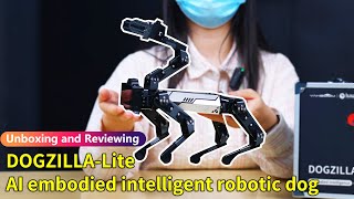 【Unpacking and reviewing】----DOGZILLA Lite