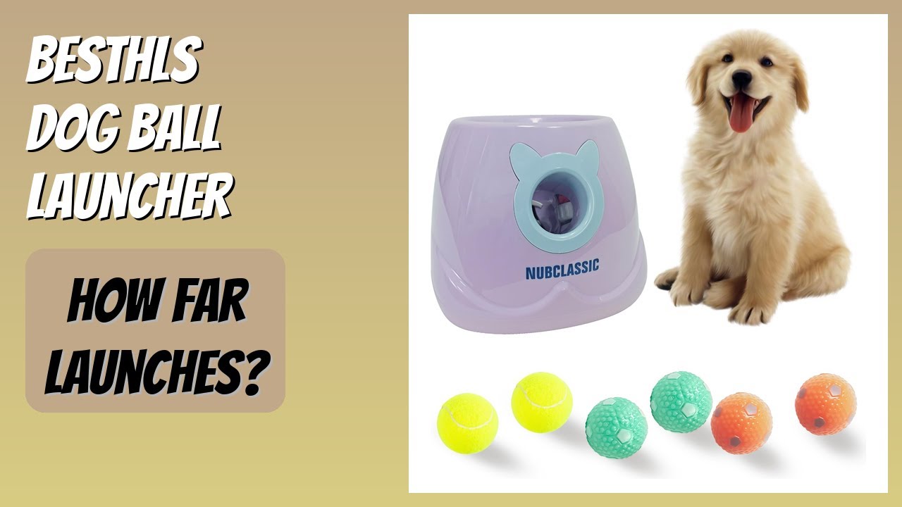 REVIEW (2026): BESTHLS Dog Ball Launcher. Features