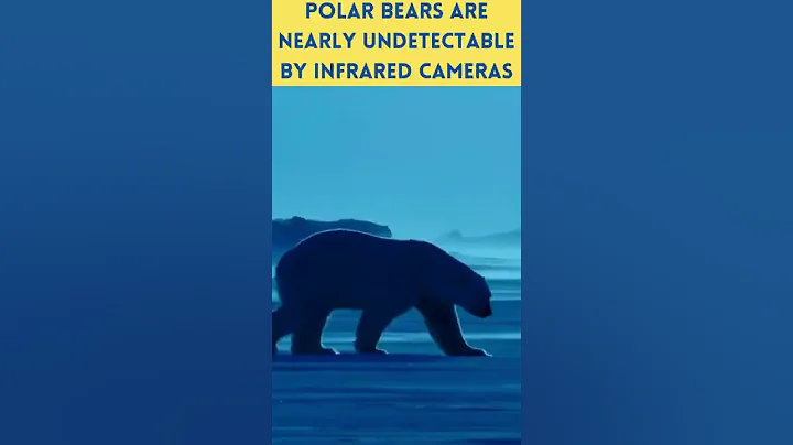 Amazing science facts that will blow your mind / Facts probably you didn't know / #shorts