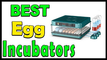 Top 5 Best Egg Incubators Review 2025