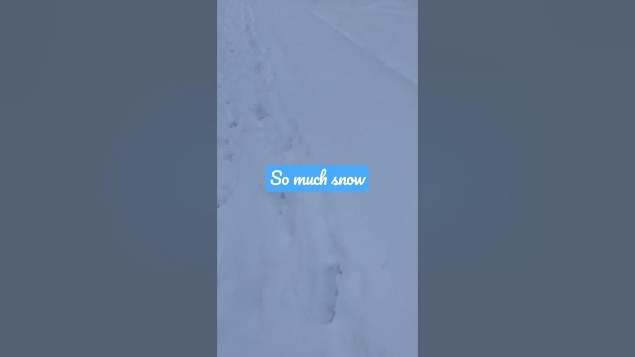 Why is there snow in late February YouTube