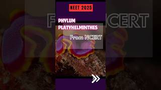 NEET Quick Revision➡️ Phylum PLATYHELMINTHES|Class11thbio|NCERT|#neet2025#neetprep#shorts