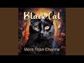 Black Cat