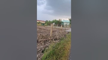 ĐẤT THỔ CƯ  xã Tân ân cần đước Long An 162m2 ( 5,5 × 30 ) 800 triệu ĐT 0385986500 hưng.