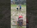 Boys Power Tiller Start Challenge🙀🙀#funny #shorts #skills