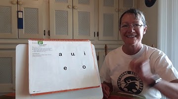 Week 7- SS- Reading Mastery: Orange 1 Lesson 47