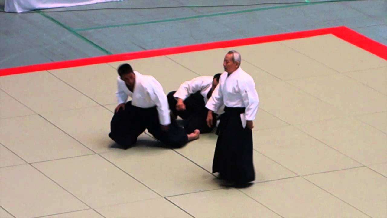 Endo Shihan Embu, 53rd All Japan Aikido Embukai 2015