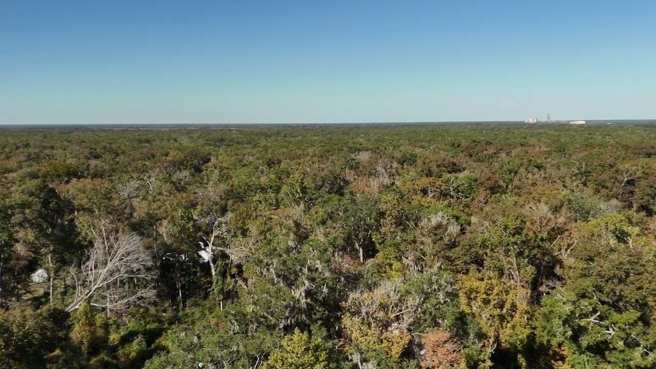 0.94 Acre – Near Santa Fe River, Power & Gravel Road Access, RV Allowed! In Branford, Suwannee FL