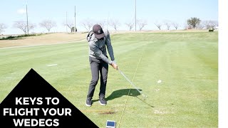 Exclusive KEYS TO FLIGHT YOUR WEDGES Details