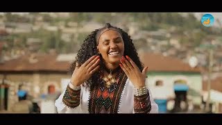 Weyneshet Ayenew ወይንሸት አየነው ወሎዬነው New Ethiopian Music 2024 Official Video Reaction