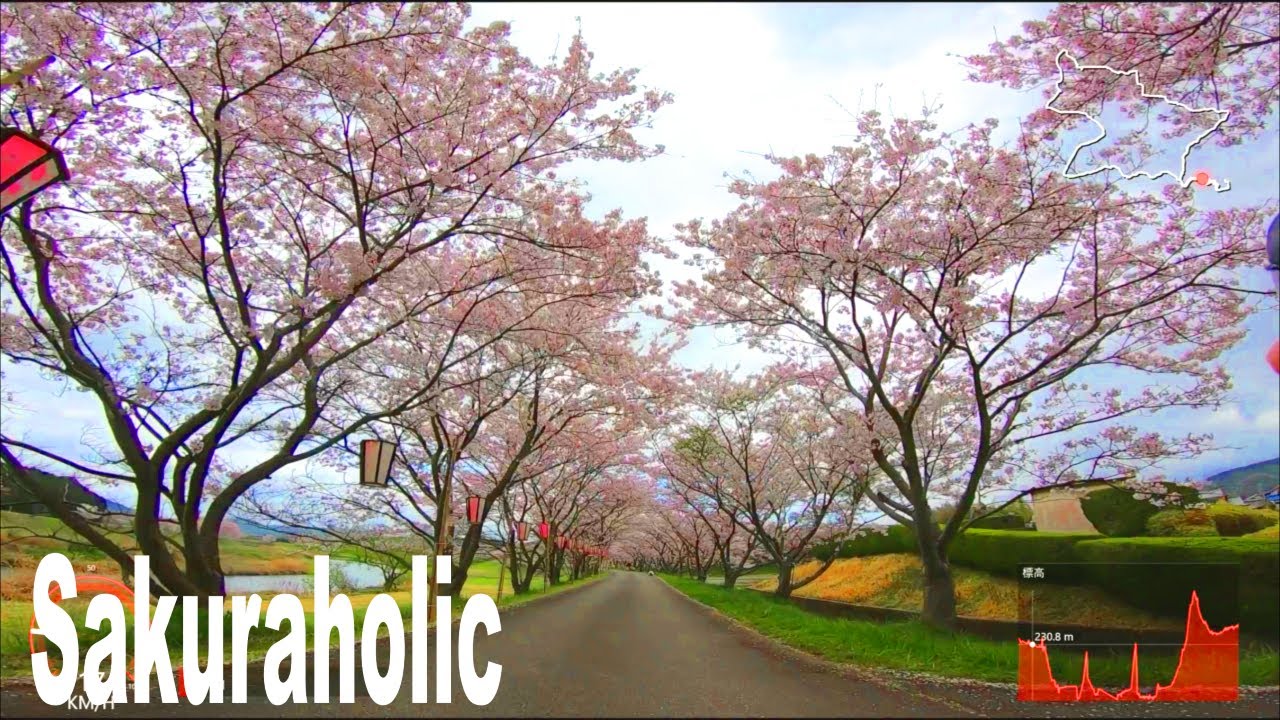 🚴150 minute virtual cycling workout in amazing Japan scenery 🚴🌸 Sasayama [No music ver]