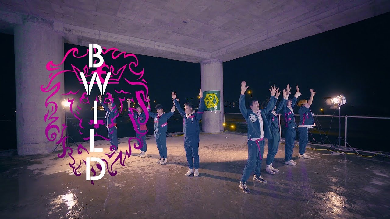 EXO(엑소) - Power(파워) Dance Cover By B-Wild From Vietnam