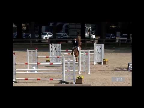 Secreto van't Netehof - CSIYH1* Riesenbeck - 7y old - Final - 24 05 2025 Secreto van't Netehof - CSIYH1* Riesenbeck - 7y old - Final - 24 05 2025
