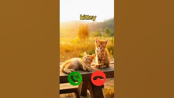 catcall #aicat #ringtone #ringtones #iphone #cat #shorts #catcalling #monkcall #monk #smartphone