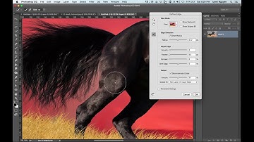 Bài 4   cách tách tóc trong photoshop bằng Refine Edge