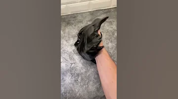 What Is This Venom Marvel Shorts 