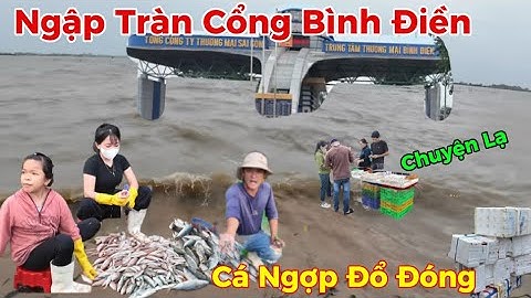 Nước ngập Tràn Bờ”Cổng Chợ Bình Điền”bên trong cá Ngợp đổ đóng bán rẻ chưa từng thấy 