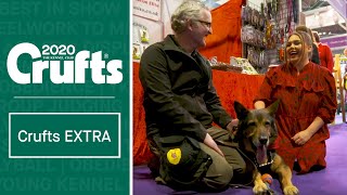 Protecting Service Dogs | What is Finn's Law Part 2? | CruftsEXTRA