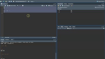 ST351 - Week 1 Lab - Intro to R Studio