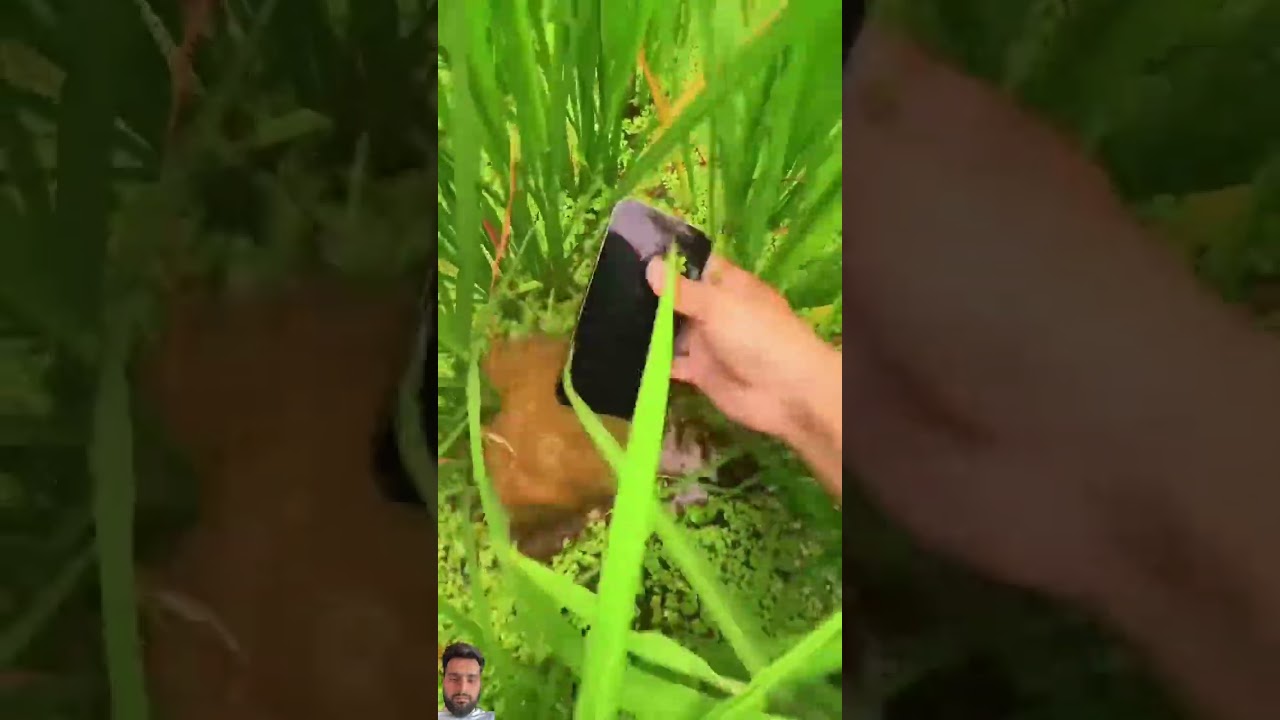 Wooowww😮😮 Amazing 