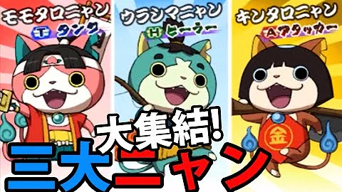 キンタロニャン Qr