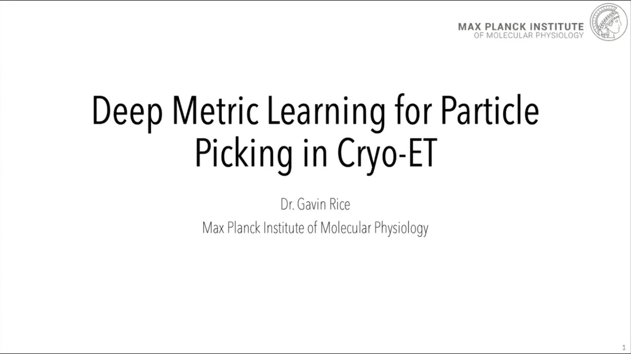 Representation Learning for Particle Picking in Cryo-ET with TomoTwin | CZII 2025