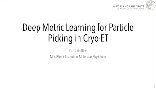 Celebrity Representation Learning for Particle Picking in Cryo-ET with TomoTwin | CZII 2025 Profile