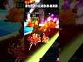 【ブレインロッドを盗む】サミーが間違えて配布しちゃった? #ロブロックス #roblox #stealabrainrot #ゆっくり実況 #ブレインロッド ※偽ゲーです※