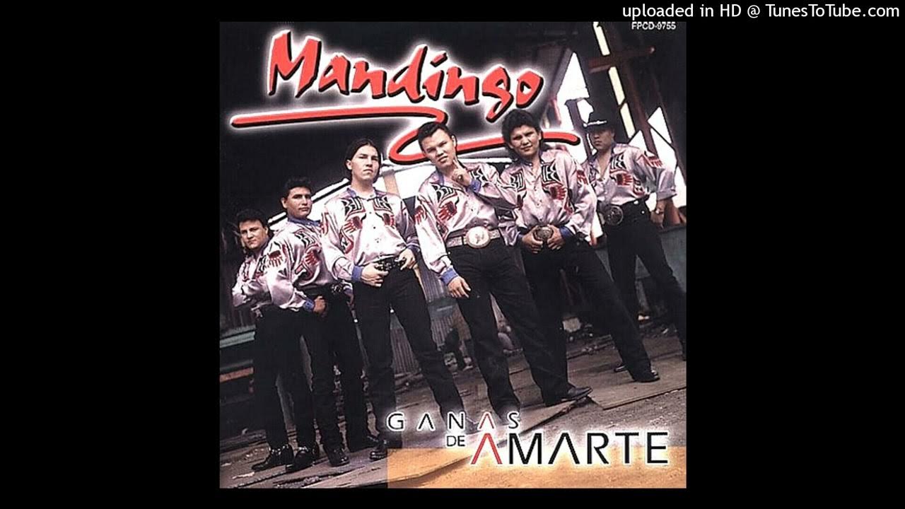 Numero Equivocado - Mandingo Numero Equivocado - Mandingo