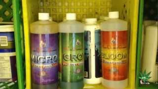 High output Gardens Hydoponic nutrients