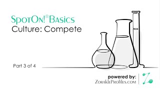 SpotOn! Basics: Compete Culture