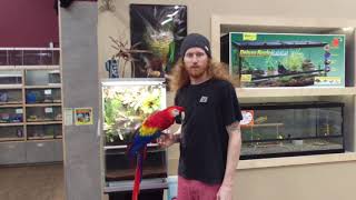 Denny's Pet World BioPod Video #2 screenshot 3