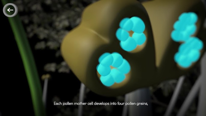 Красноярск массажшы эротикалық салоны Орыс порно 50 жыл