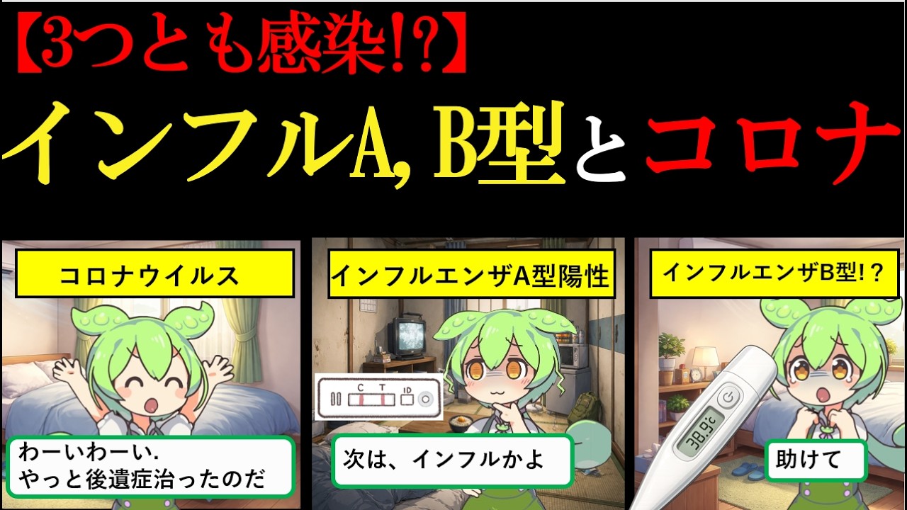 【実話】インフルエンザA型、インフルエンザB型、コロナに罹ったずんだもんが違いを解説!!　【ずんだもん＆ゆっくり解説】#ずんだもん解説 #ずんだもん