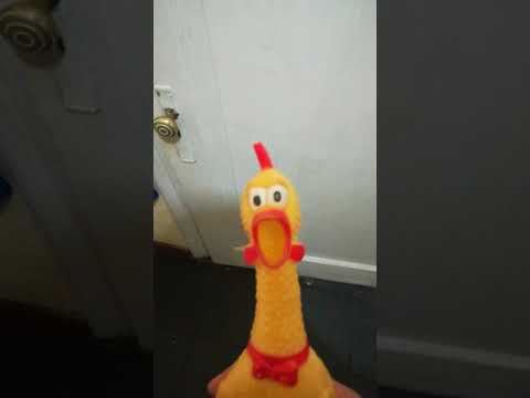 miedo a las alturas #QueTermineElInvierno #VideoCorto :v