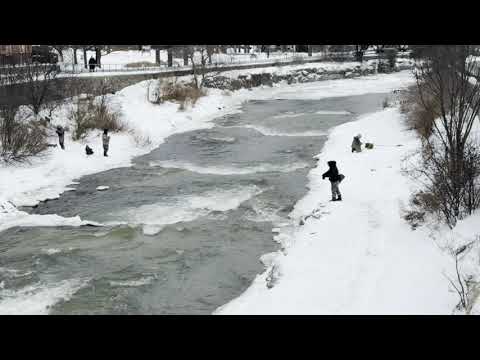 December 28, 2025 Fishing Ganaraska River Port Hope
