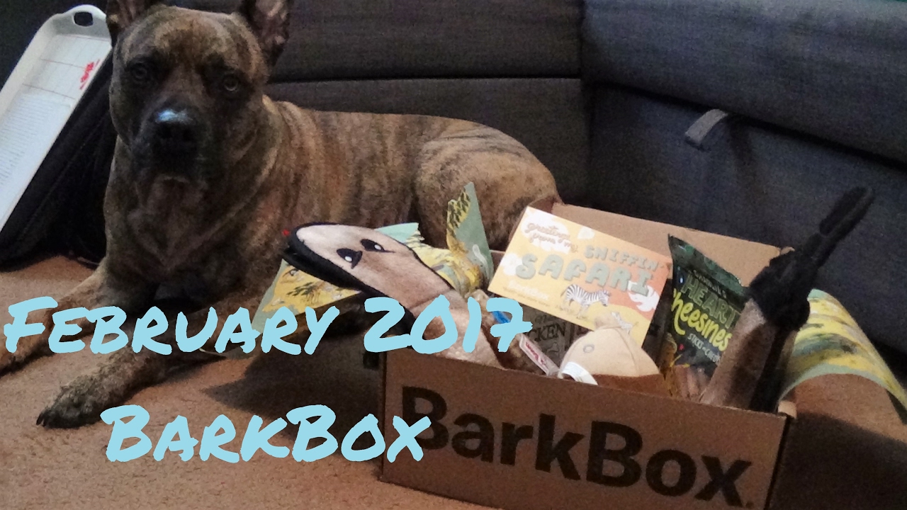 February Barkbox Unboxing BarkBox February 2017 - YouTube