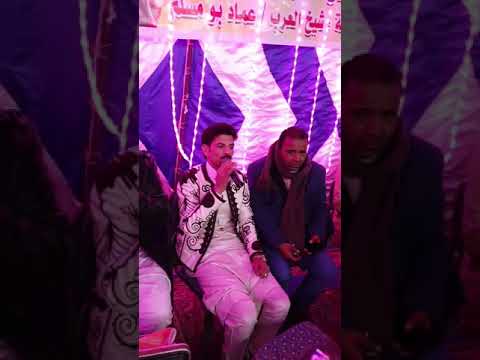 مطلوق سراحك ياطير